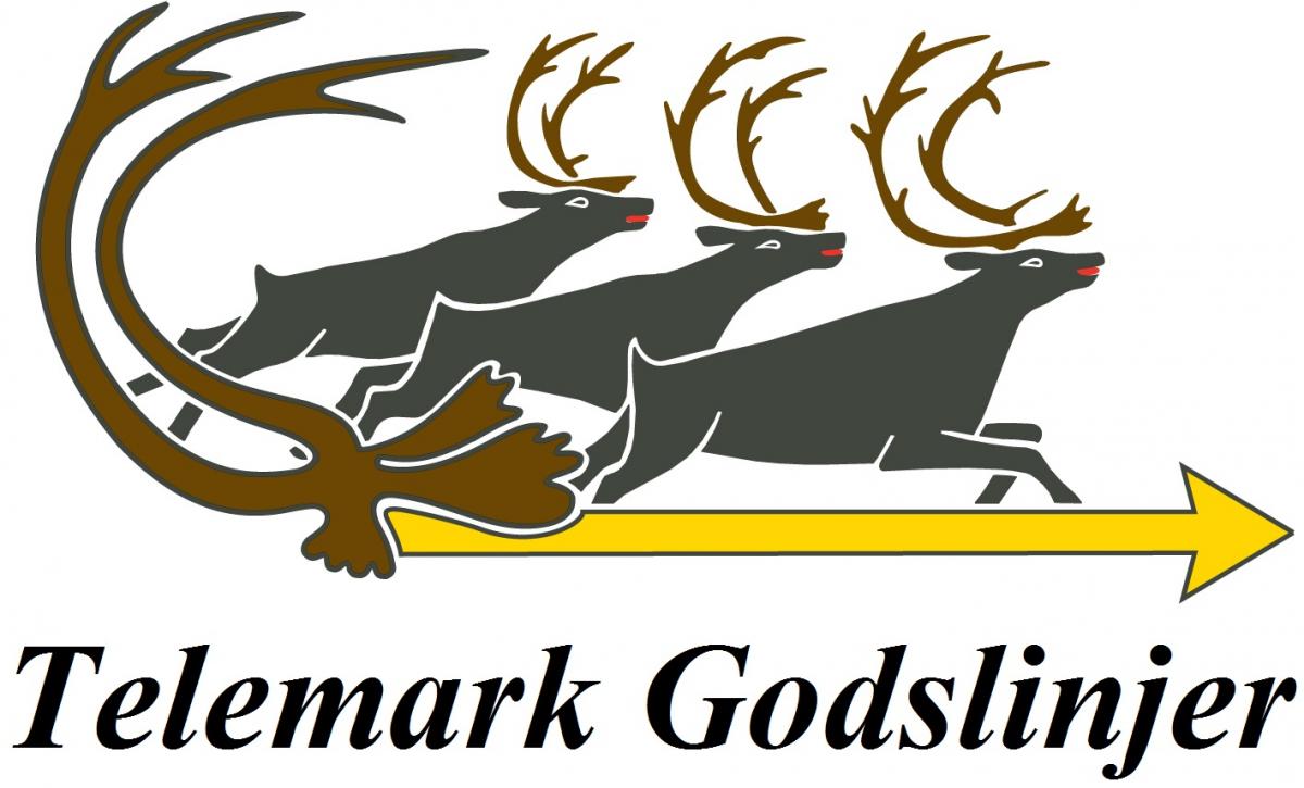 Telemark Godslinjer AS logo