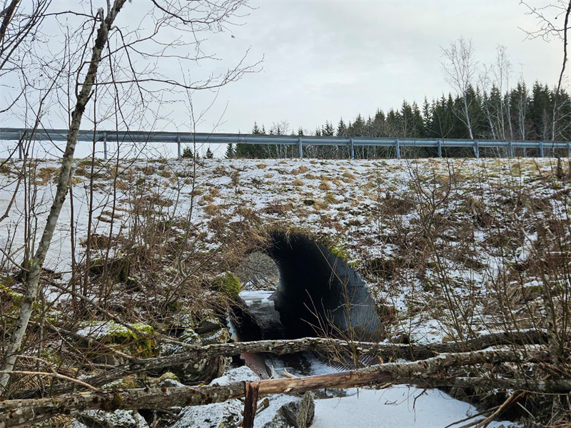 Innfører midlertidige teleløsningsrestriksjoner på fylkesveger i Trøndelag