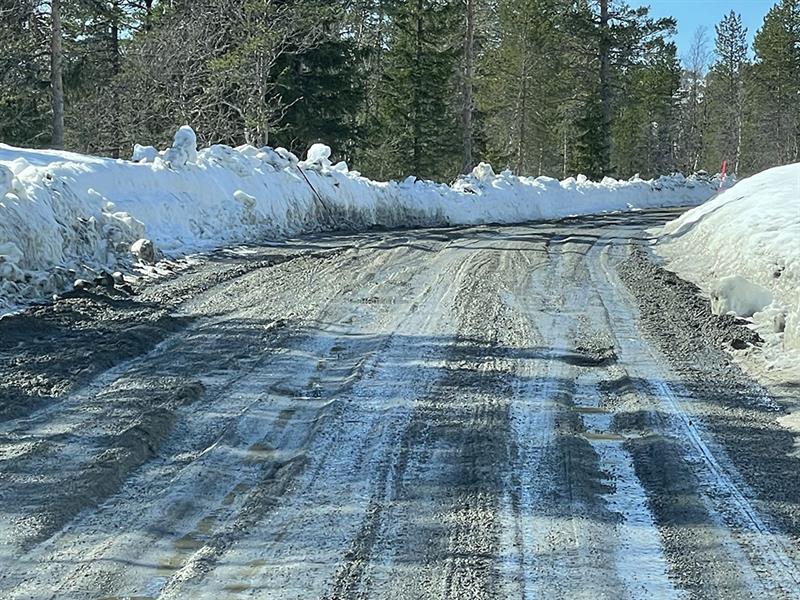 Trøndelag region 6 uke 15